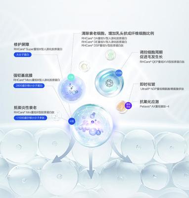 重組膠原蛋白賽道的創新解題思路 對話迪諾薇華孫璞談細胞技術研發與應用